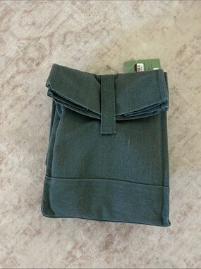 Figmint Green Lunch Tote